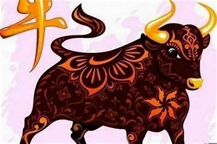 本命年牛年注意什么可转运？