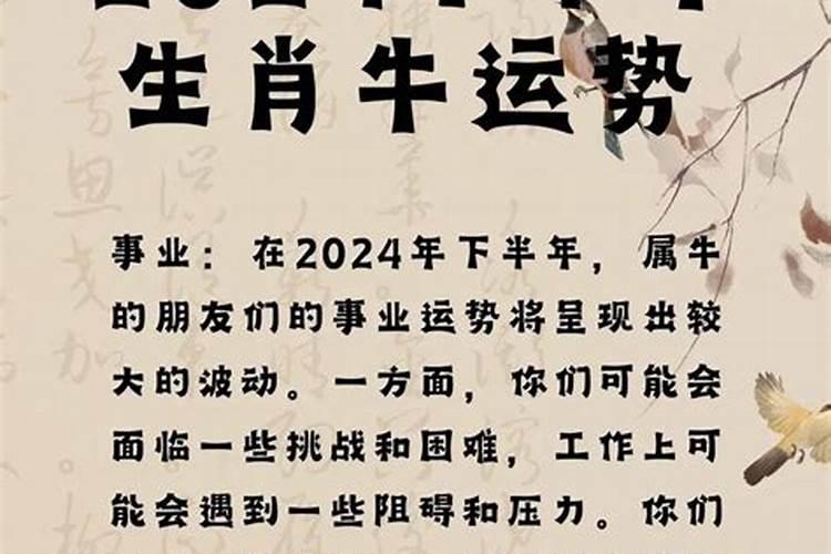 1971年12月15运势如何？