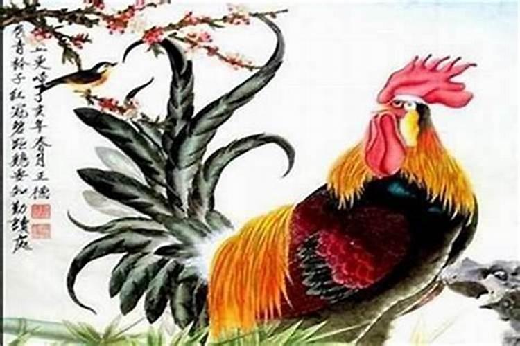 女属鸡男属牛合婚吗？