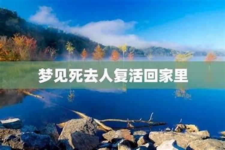 梦见和死去的人复活了