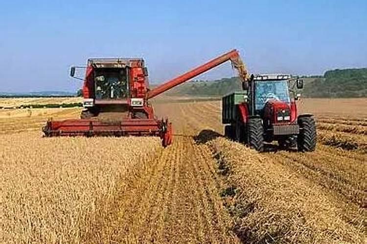 农机公司取什么名好？