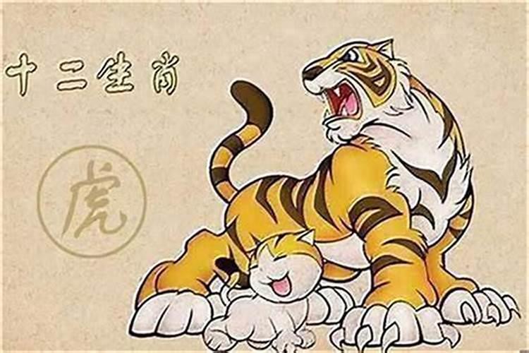 男属女属虎合婚吗？