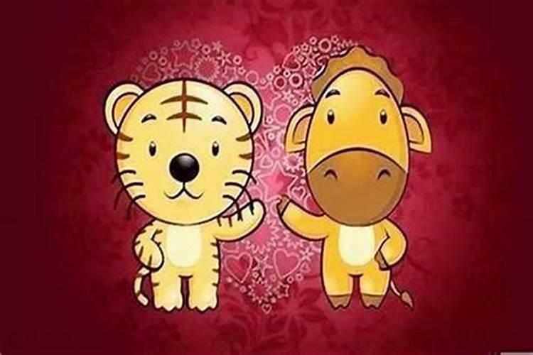 虎和龙的婚配属相好吗？