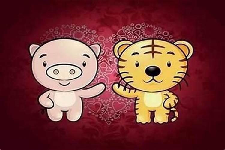 甲寅虎和辛亥猪合婚吗？