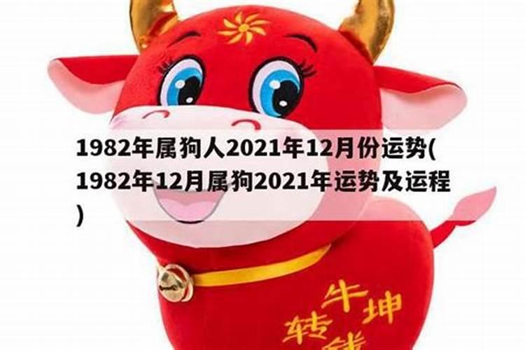1982年属狗人今年的运程