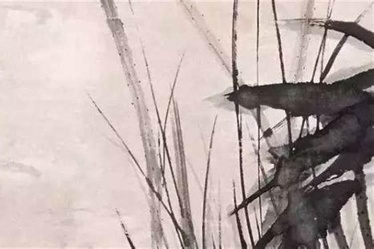 合婚看哪个柱重要？