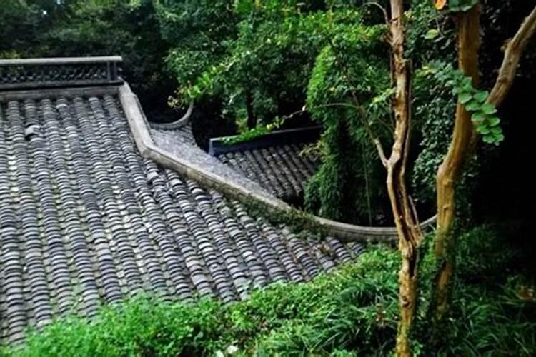 过了清明节可以烧纸吗？