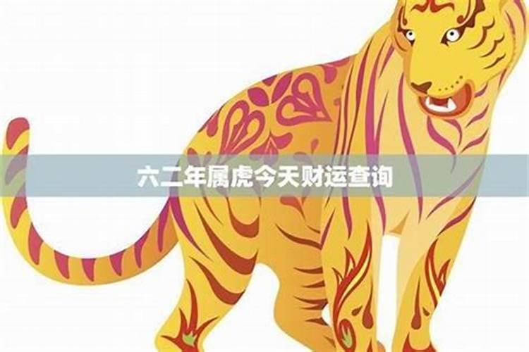 属马的属虎今年的运势
