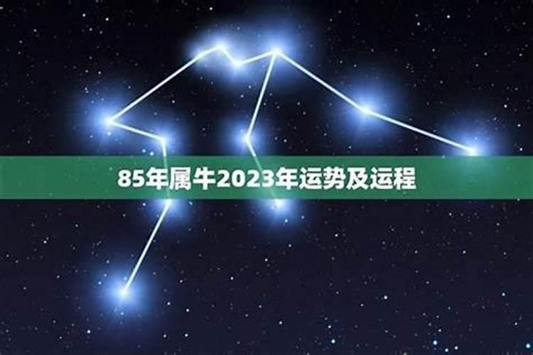 85年属1月4号女2026年运势
