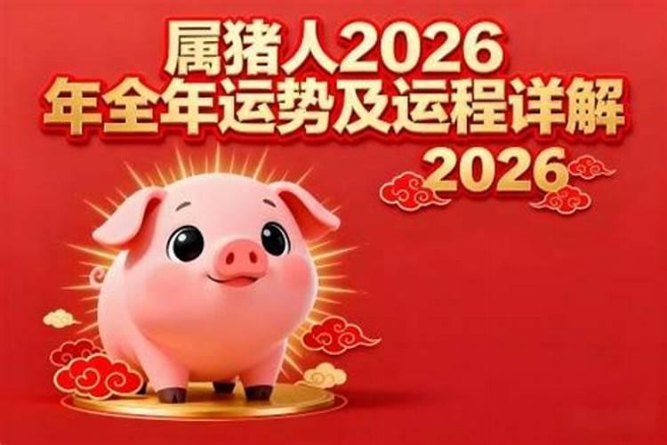 属猪人2026年运势及运程破解方法