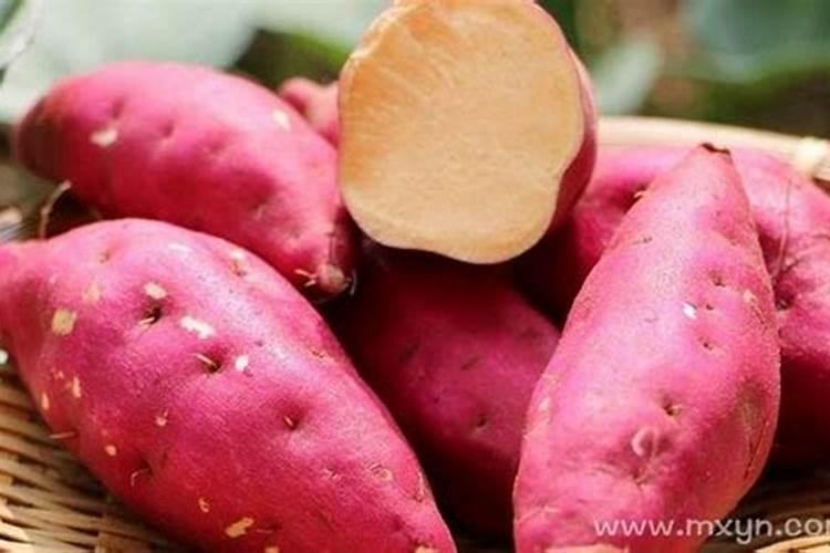 梦见吃很多红薯预示什么？