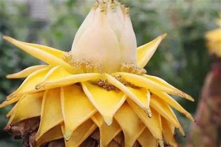 师傅做法事多少钱？