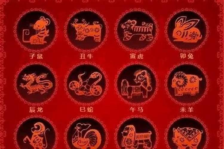 鼠人2026年运势鼠和马好吗？