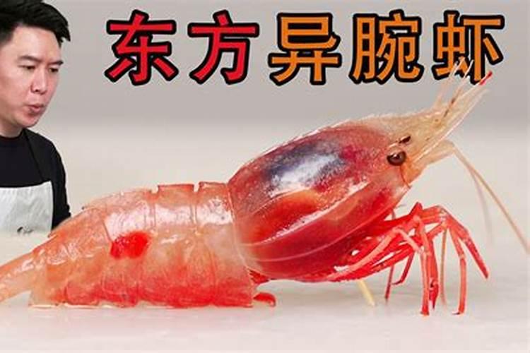 童子命不能吃虾蟹吗？