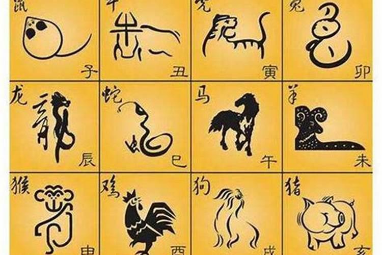 单看属相婚配准吗？