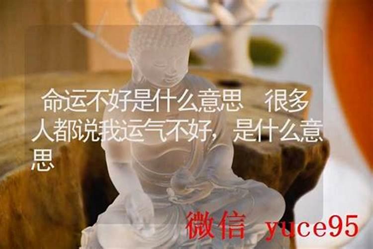 命运不好的人该怎么办？