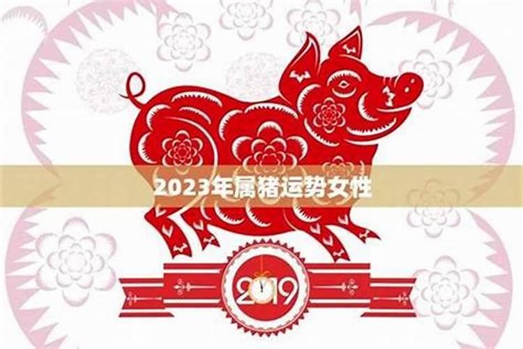 2026属猪整体运势如何？