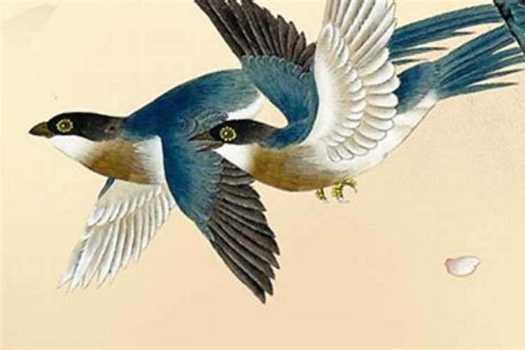 丙寅与戊辰合婚行吗？