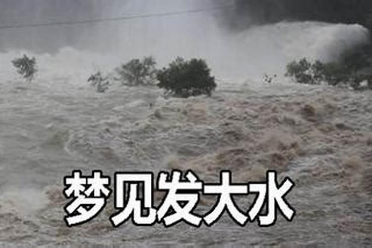 梦见发洪水一无所有