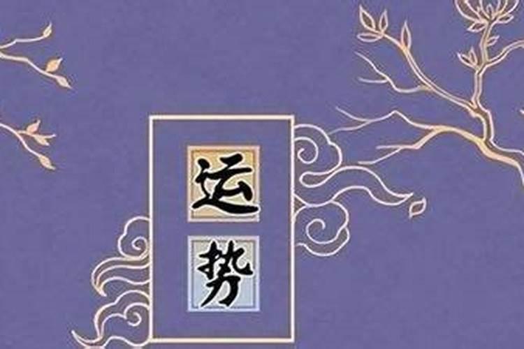 1986年生女2026年运势