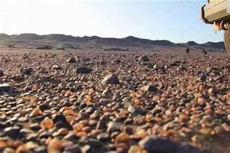 单身女子梦见自己捡石头什么意思？