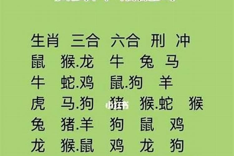 属鼠和牛婚姻怎不顺利