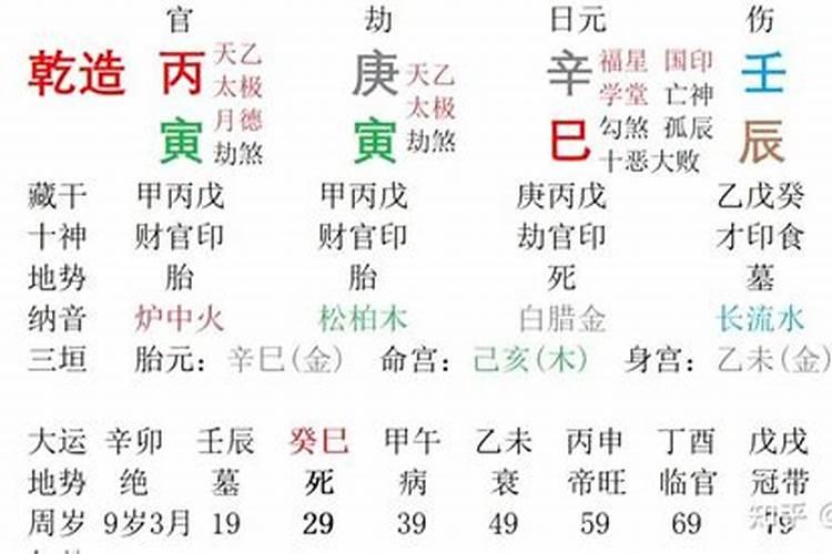 辛巳日主2026年运程