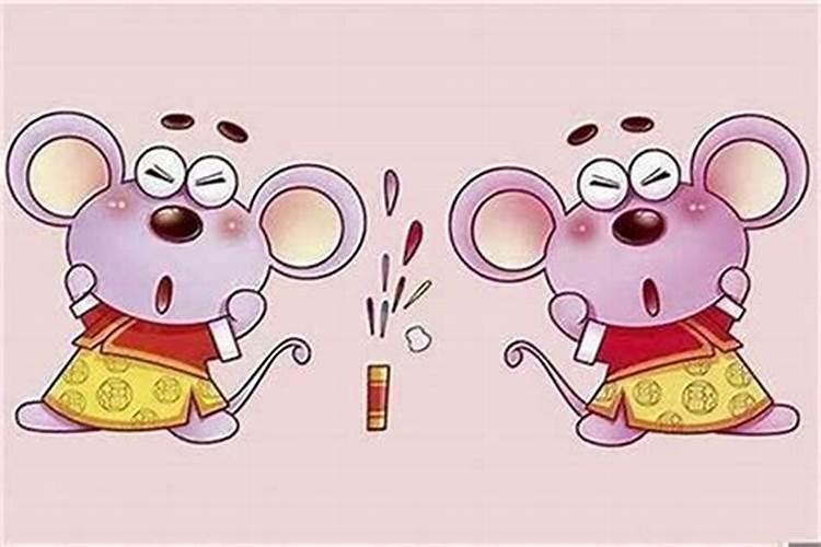 属鼠的明年犯什么太岁？