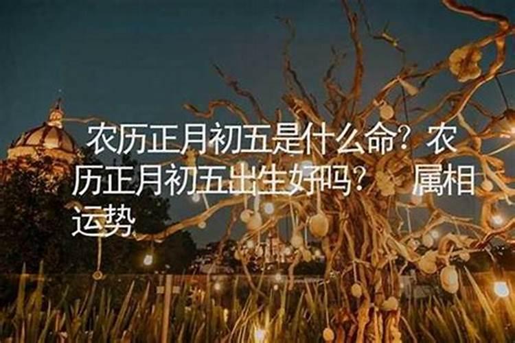属羊出生在正月初五