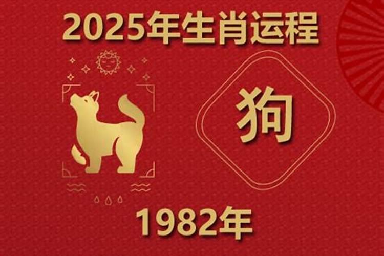 1982年狗男2026运势如何？