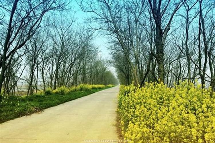 梦见回了老家是什么预兆周公解梦？