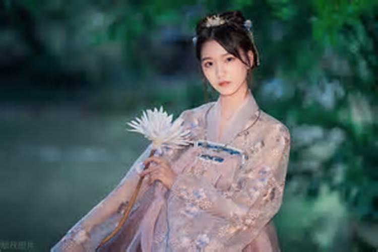 1972年女鼠2026的运势如何？