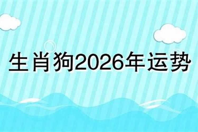 狗运势2026年运势12月
