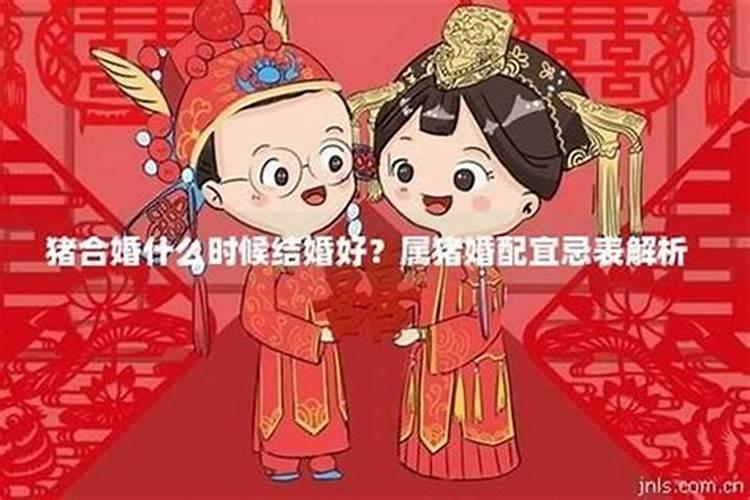 宜合婚忌结婚什么意思？