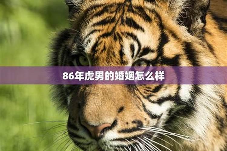 86年的虎男今年的运势和婚姻状况