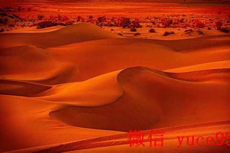 婚姻比较准的算命大师