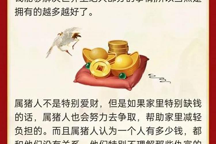 属猪财运不好怎么办？