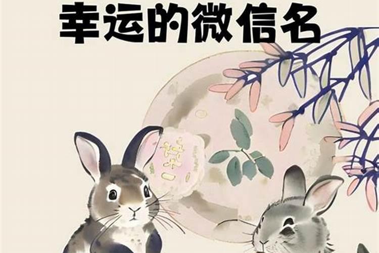 1987属兔今年运势男