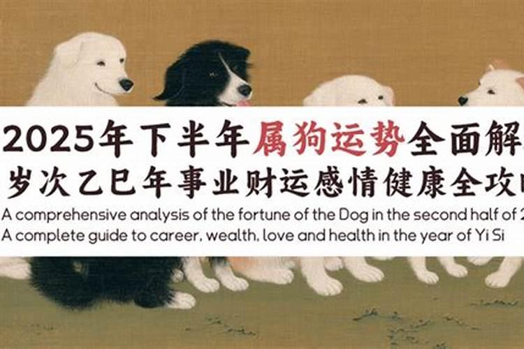 今年下半年属狗的运程如何？