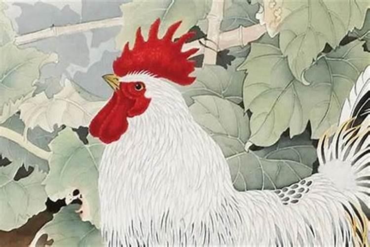 属鸡人哪些年犯太岁？