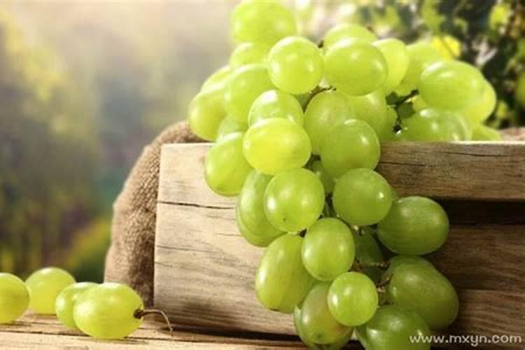 梦见吃葡萄什么征兆周公解梦？