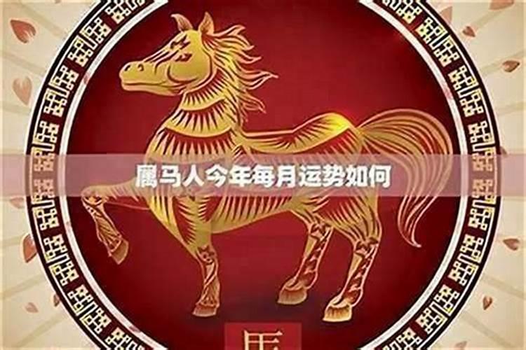 78年腊月出生的马运势