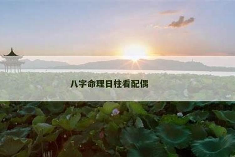 八字日柱看配偶家境