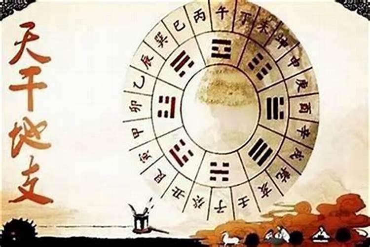 大运是看天干还是看地支？