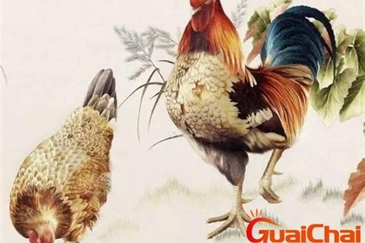 今年52岁属鸡的运程怎样？