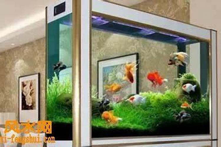 鱼缸风水摆放8个方位