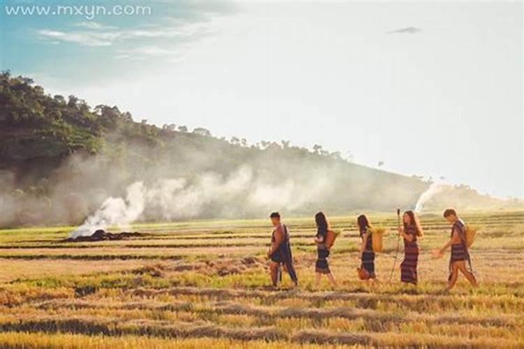 梦见死去的人收割庄稼