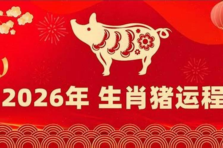 1995猪宝宝2026年运程