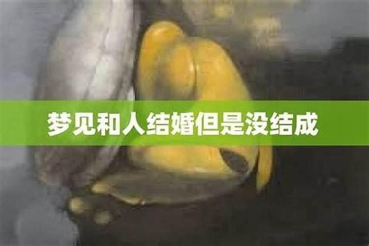 梦到和不认识的人结婚没结成