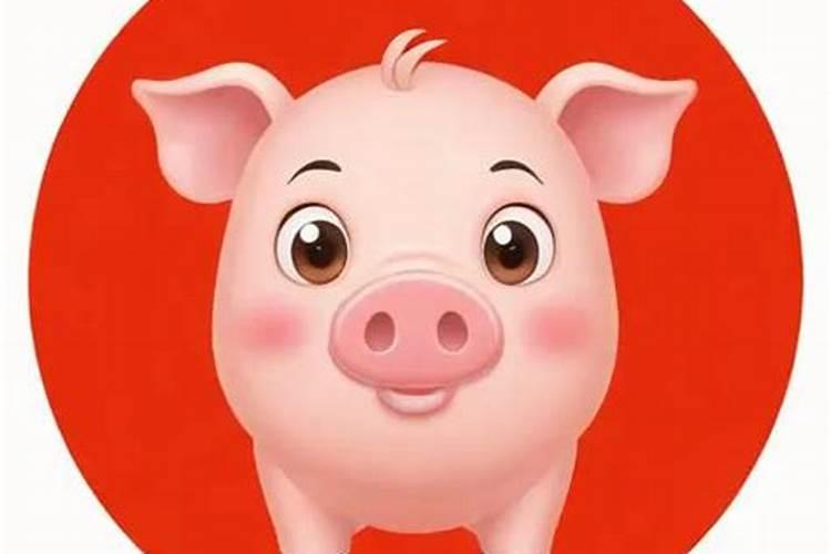 属猪今年下半年的运势如何？